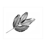 Branches and Leaves, 2016, 1 (Print Only) thumbnail