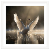 Graceful Swan Spreading Wings On Sparkling Water thumbnail