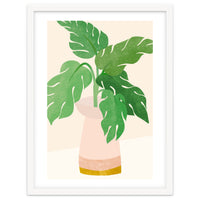 Fresh Morning Monstera Plant