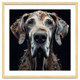Old Dog 04 thumbnail