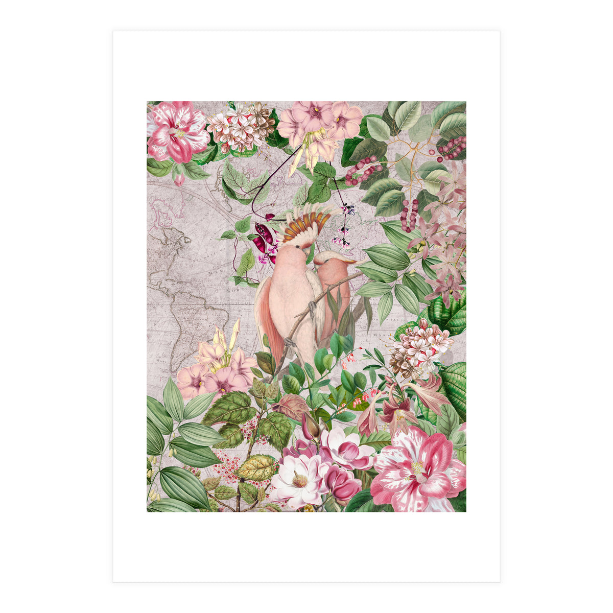 Parrot Exotic Jungle  (Print Only)