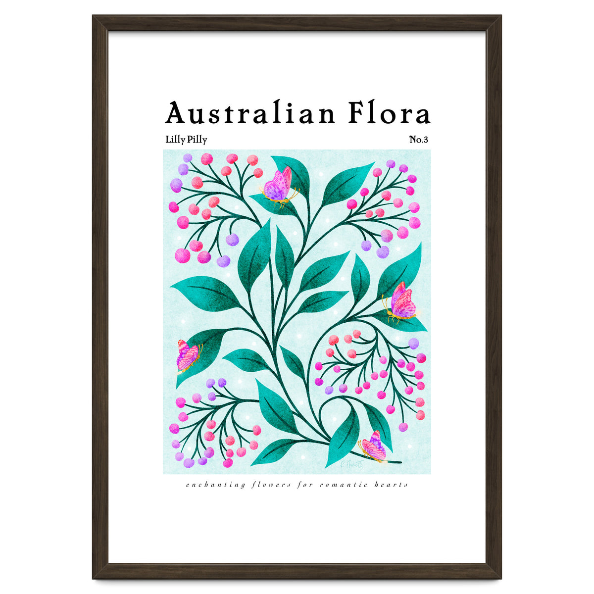Australian Flora: Lilly Pilly