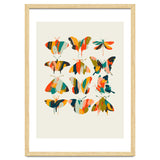 Colorful Butterflies thumbnail
