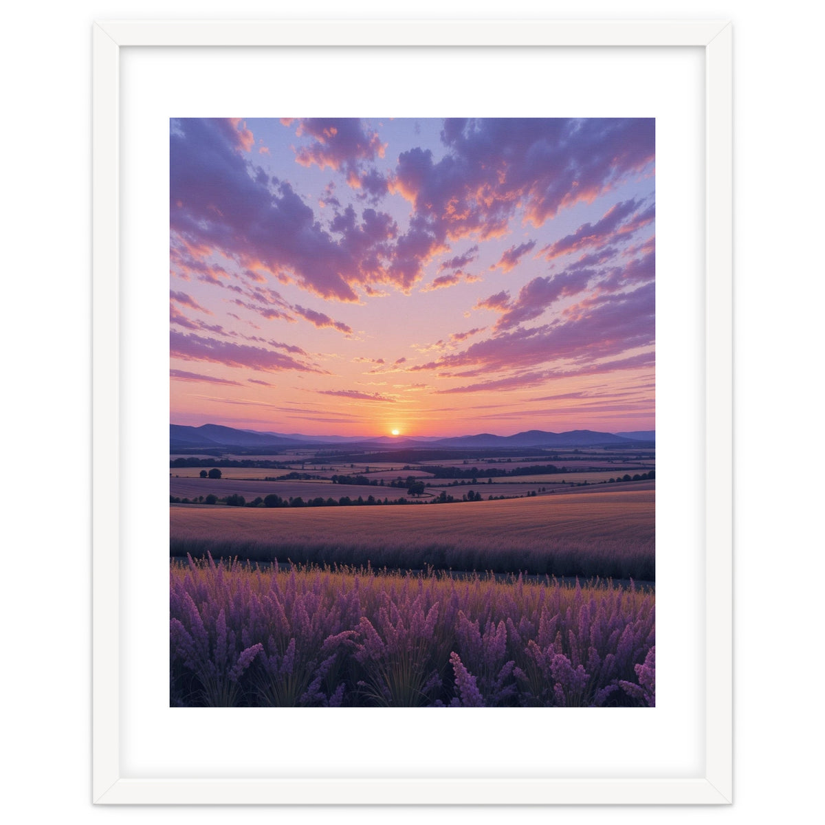 Serene Lavender Fields at Golden Hour Sunset