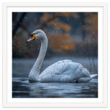 Swan Floating Gracefully On Water In Autumn thumbnail