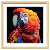 Scarlet Macaw Parrot Close Up Portrait Vivid Colors thumbnail
