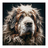Old Dog 01 (Print Only) thumbnail