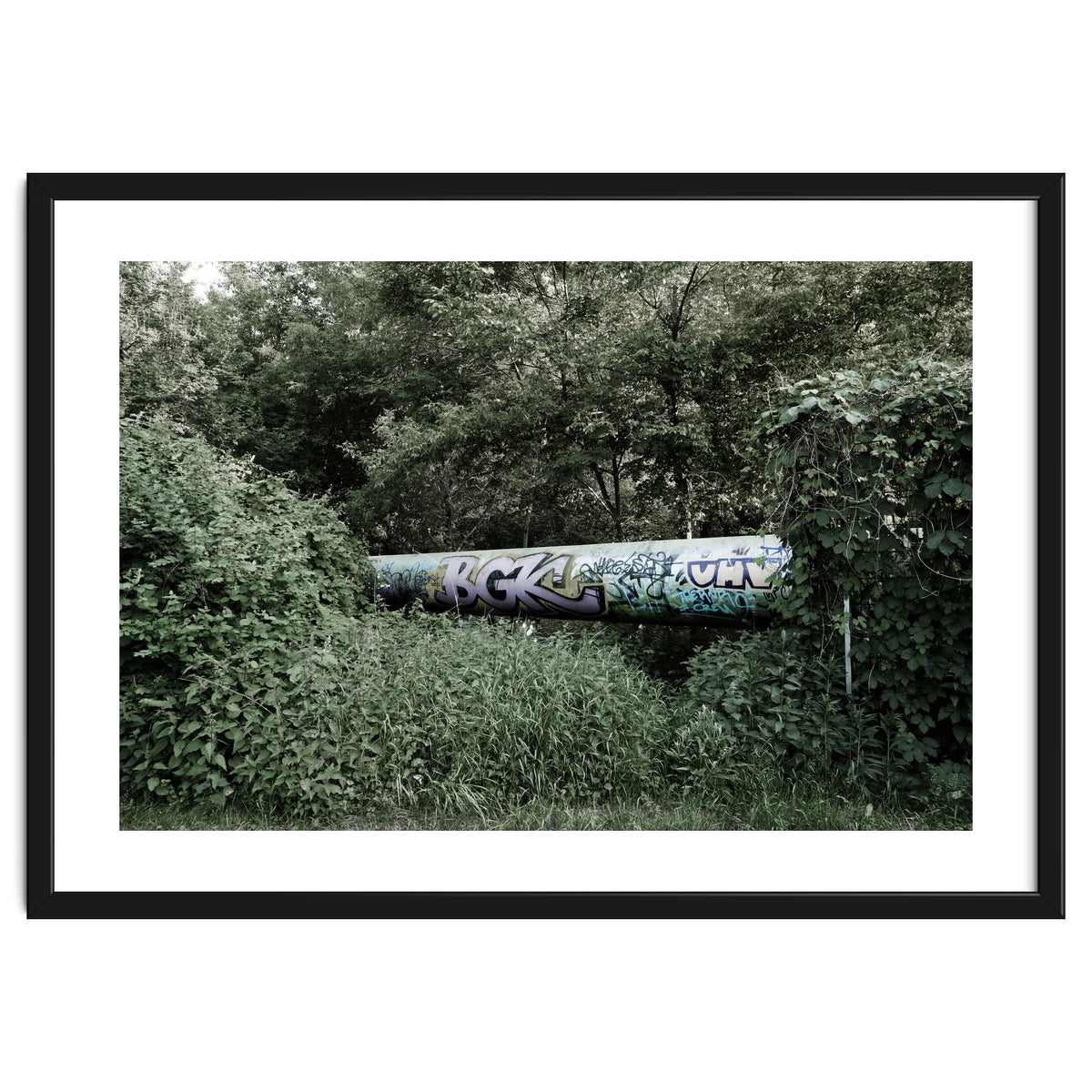 Graffiti pipe among the summer forest