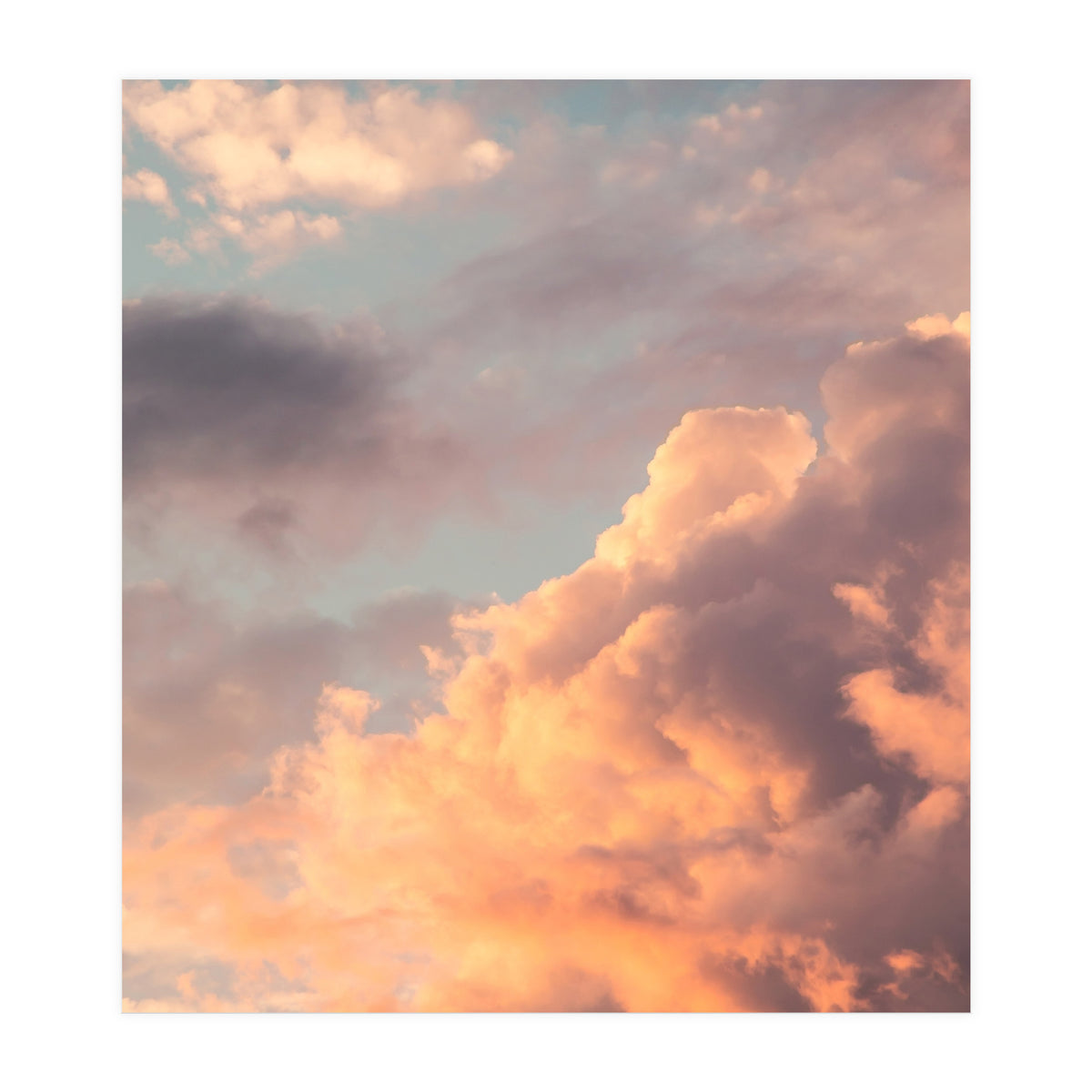 Storm Gathering (Print Only)