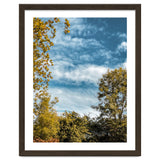 Autumn Evening thumbnail