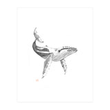 Whale (Print Only) thumbnail