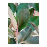 Preconceived Purity (Print Only) thumbnail