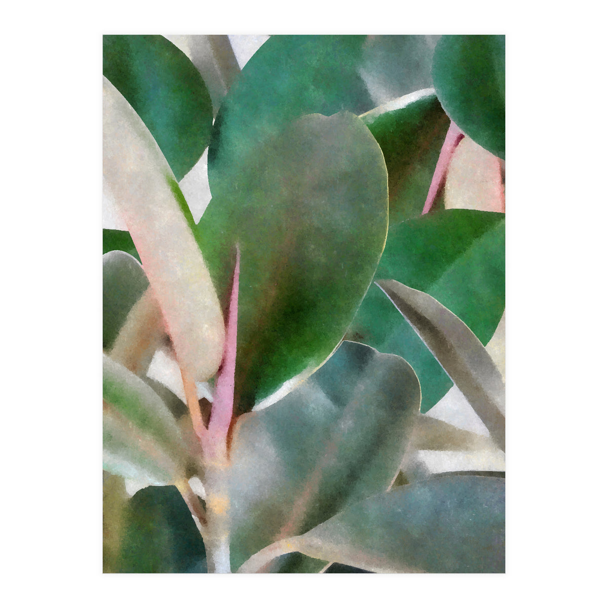 Preconceived Purity (Print Only)