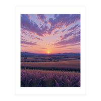 Serene Lavender Fields at Golden Hour Sunset (Print Only)