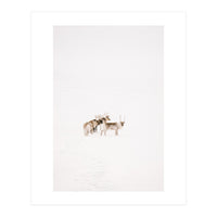 Reindeer in the snow (Print Only)