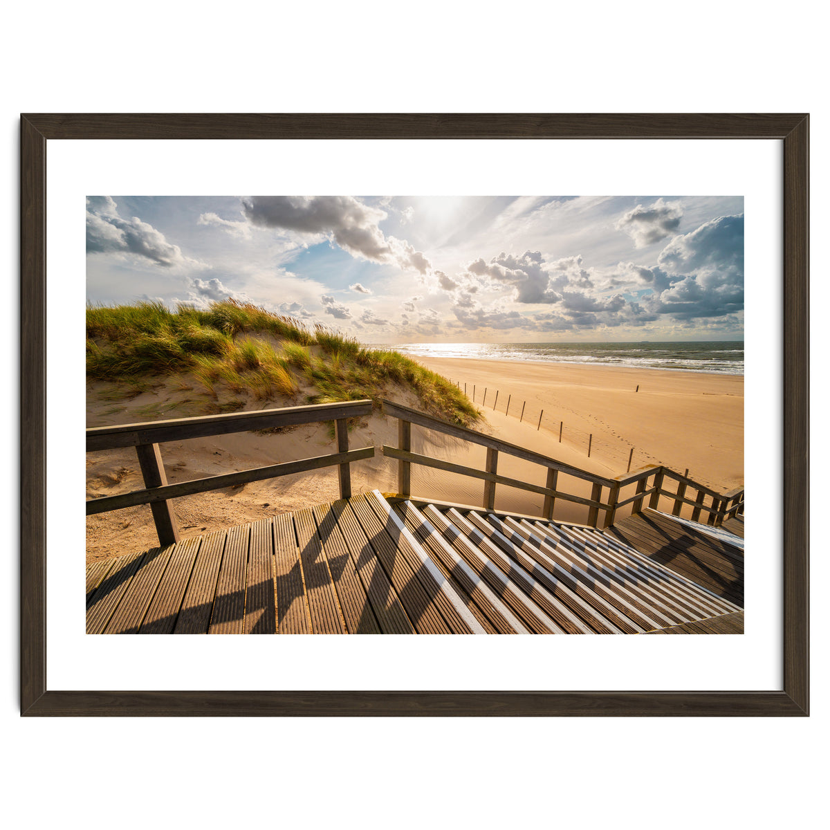 A day at the Dutch beach