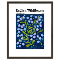English Wildflowers | Forget-Me-Not