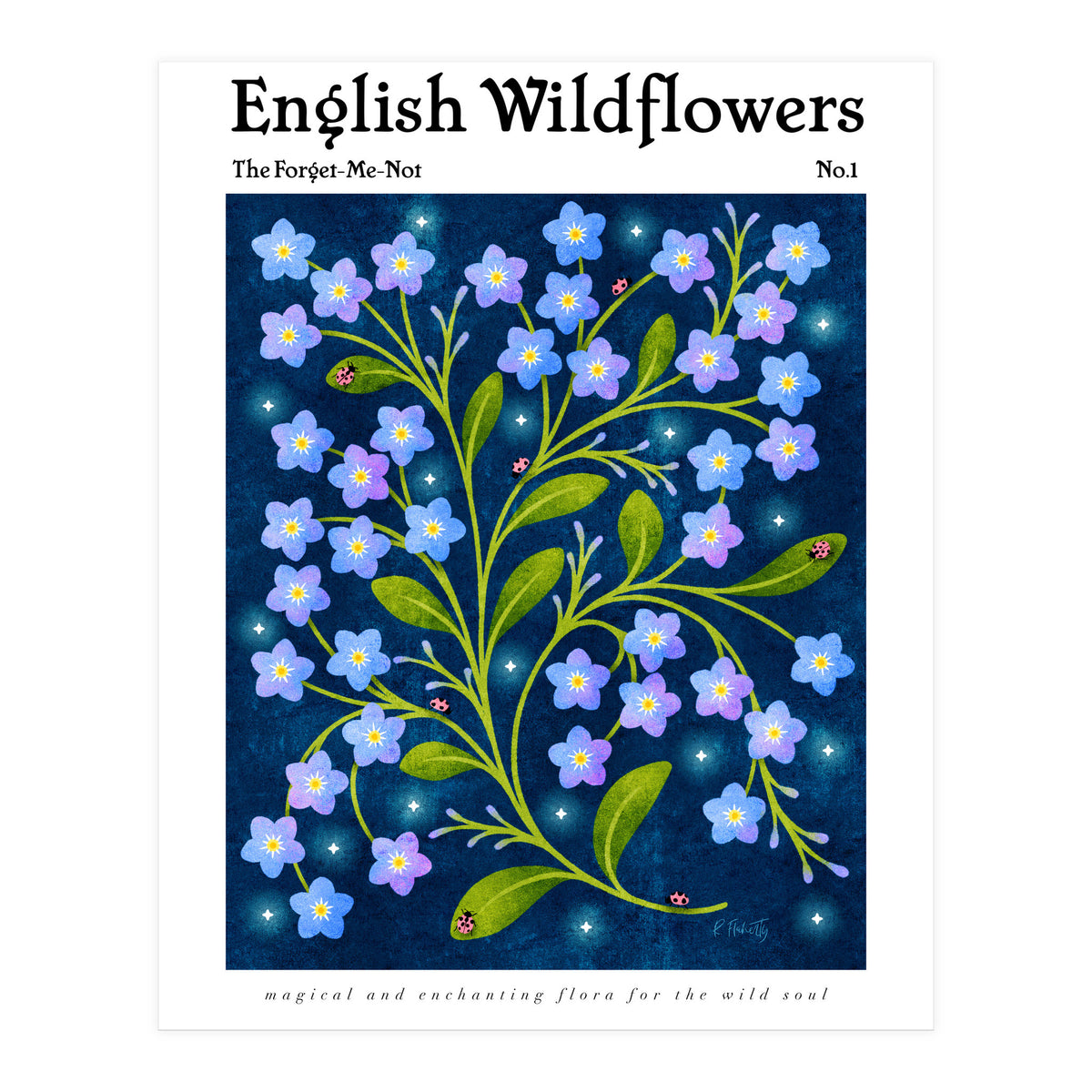 English Wildflowers | Forget-Me-Not (Print Only)
