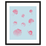 Jellyfish thumbnail