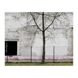 A tree in front of the wall (Print Only) thumbnail
