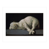 Agnus Dei - ca.1635-40 - oil on canvas - 37,3 x 62 cm - Spanish Baroque - NP 7293. (Print Only) thumbnail