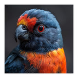 Close Up Portrait Of A Colorful Parrot (Print Only) thumbnail