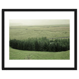 Small forest - Iceland thumbnail