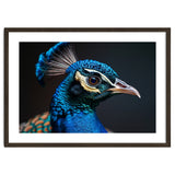 Close Up Peacock Head Blue Green Feather thumbnail