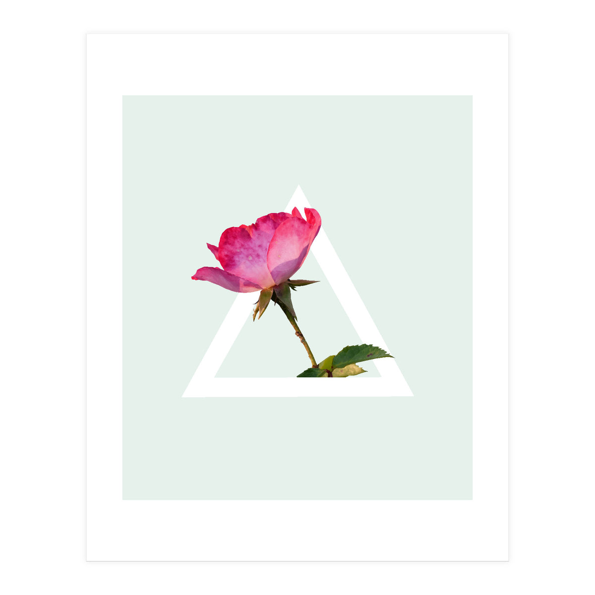 Rose (Print Only)
