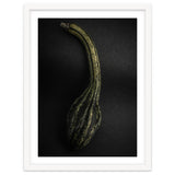 Gourds No 9 Color Version thumbnail