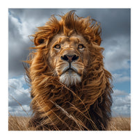 Majestic Lion Portrait Windblown Mane Outdoors (Print Only)