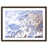 Coral Blooming thumbnail
