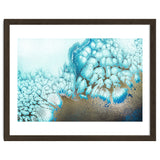 Moonlit Reef thumbnail