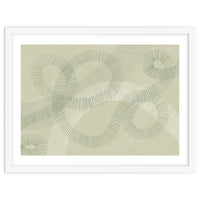 calming essentials Curved Lines soft sage