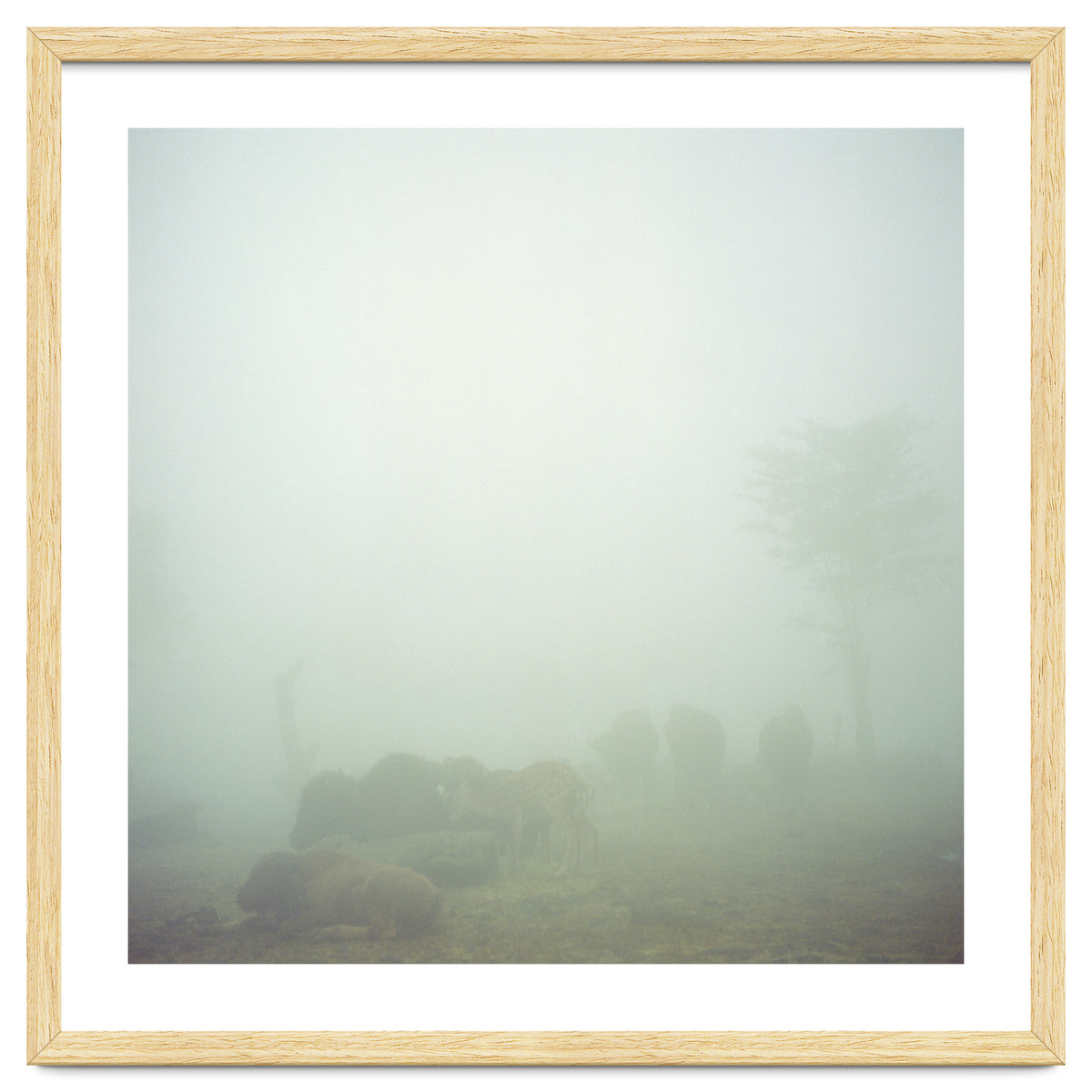 Silence of breath - 03