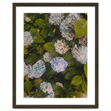 Hydrangeas | Portrait thumbnail