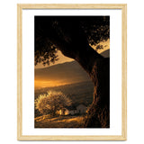 The Hill thumbnail