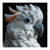 White Cockatoo Parrot With Orange Crest  (Print Only) thumbnail