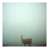 Silence of breath - 04 (Print Only) thumbnail