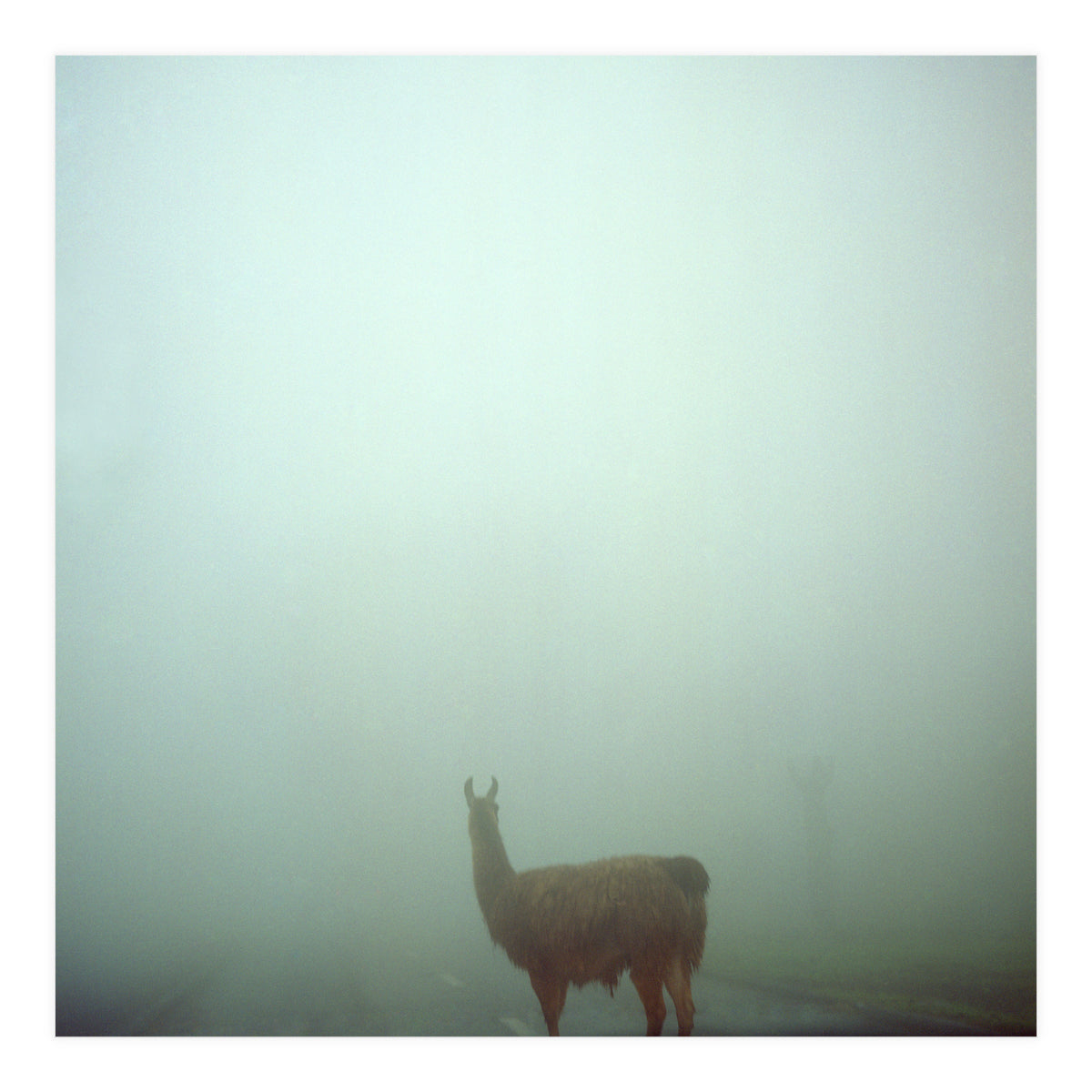 Silence of breath - 04 (Print Only)