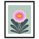 Chrysanthemum - turquoise and pink thumbnail