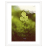 Out of the green thumbnail