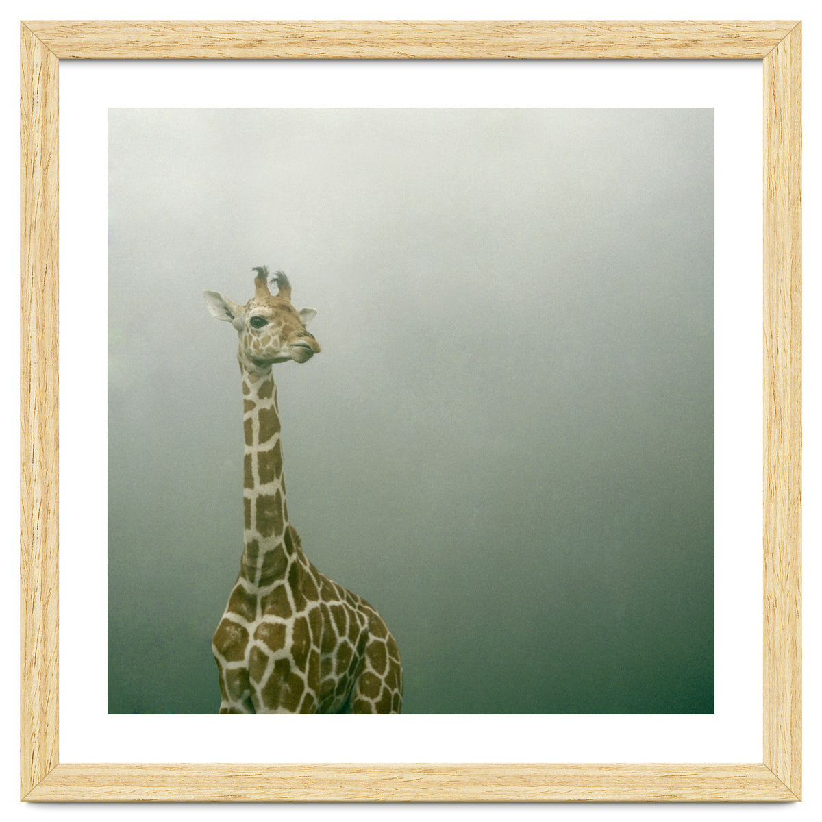 Silence of breath - 08