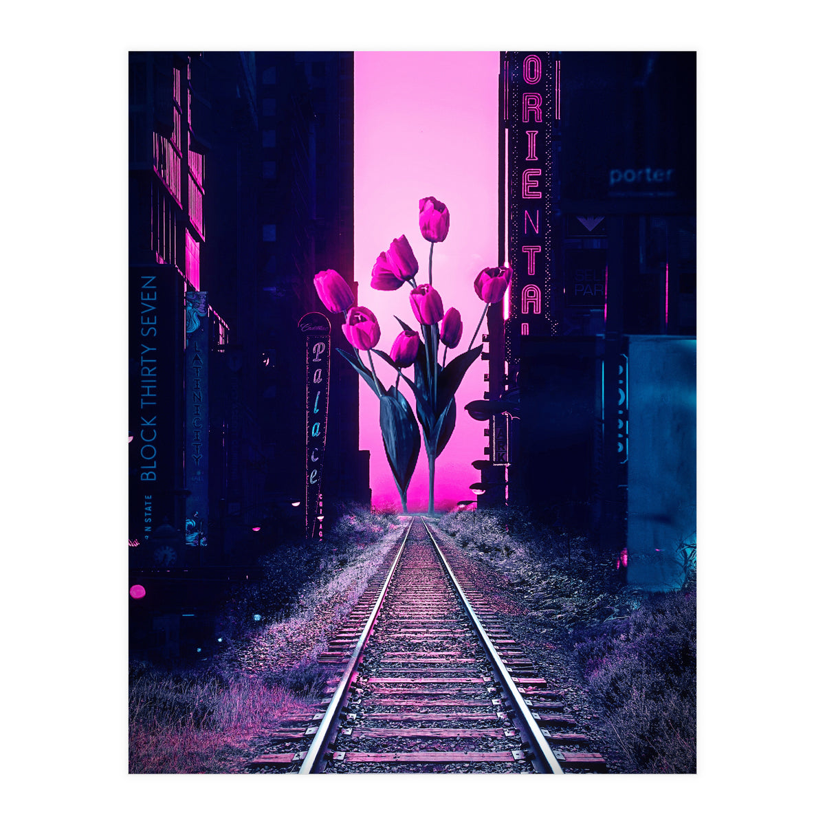 red tulips in the middle of the city (Print Only)