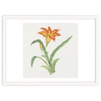 Hime Kuwanso – March (c. 1870–1880)