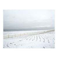 Winter grass in snow beach (Print Only)
