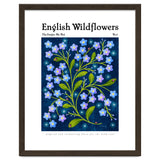 English Wildflowers | Forget-Me-Not thumbnail