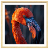 Close Up Flamingo Head Vibrant Orange Plumage thumbnail