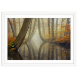 Bent trees in autumn thumbnail