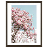 Spring Time thumbnail